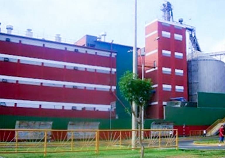 PLANTA MOLITALIA ALIMENTOS MASCOTAS 1